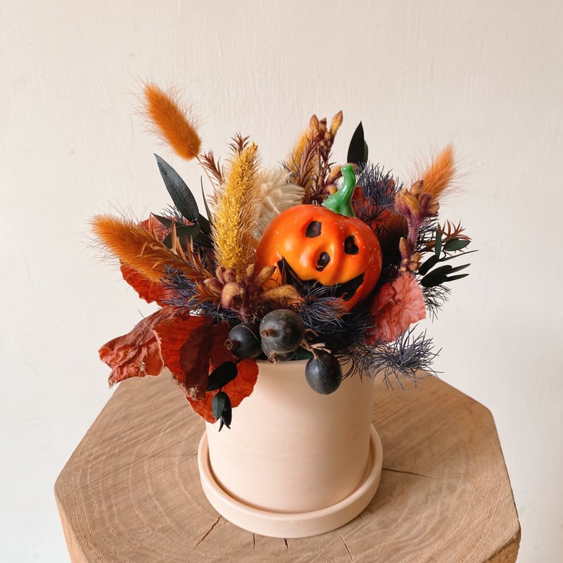 萬聖節 永生花小盆花 - 乾燥花/永生花 - 植物.花 橘色