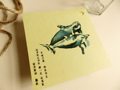 手绘动物明信片-海豚 野生动物