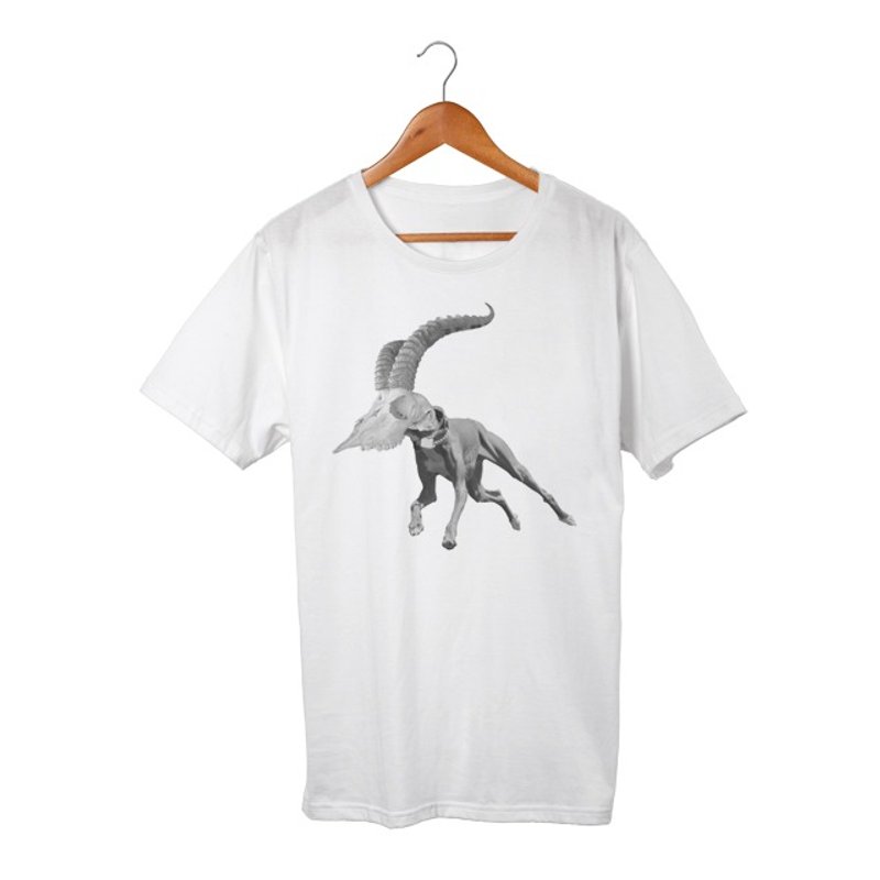 Dog T-shirt