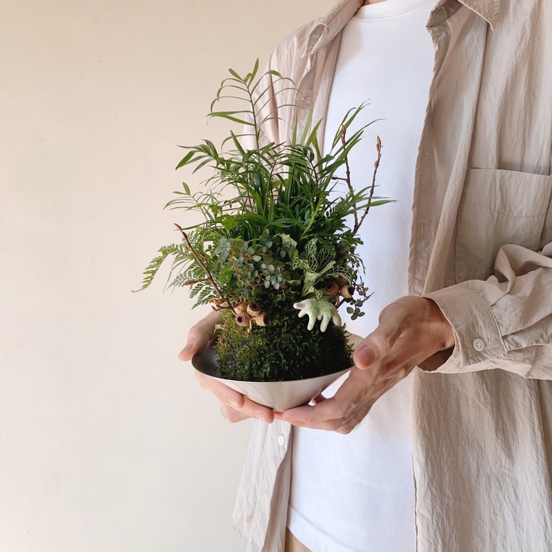 限量苔球植栽組合 搭配設計師手捏陶藝恐龍 - 盆栽/植栽 - 植物.花 綠色