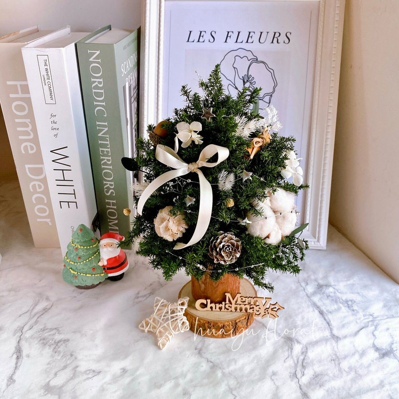 日本 永生雪松 聖誕樹 浪漫雪白 交換禮物 聖誕禮物 聖誕節 佈置 - 乾燥花/永生花 - 植物.花 綠色