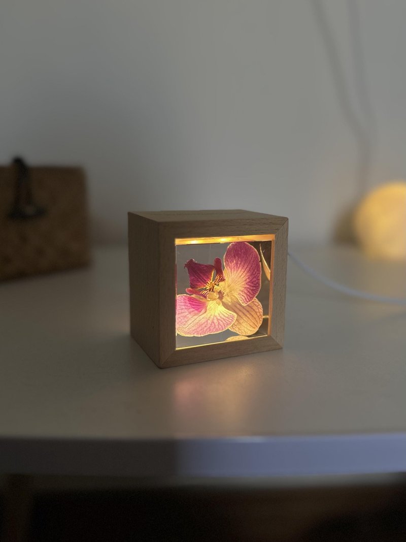 粉蘭凝駐|蝴蝶蘭樹脂水晶球 - 擺飾/家飾品 - 樹脂 粉紅色