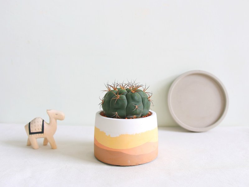 【限量款】仙人掌•夕陽沙漠水泥盆 可客製英文字母 - 盆栽/植栽 - 水泥 橘色