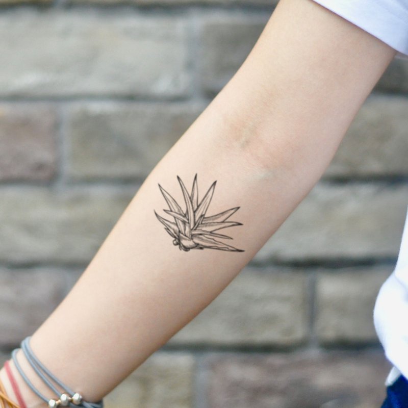 Agave Aloe Vera Temporary Tattoo Sticker (Set of 2) - OhMyTat