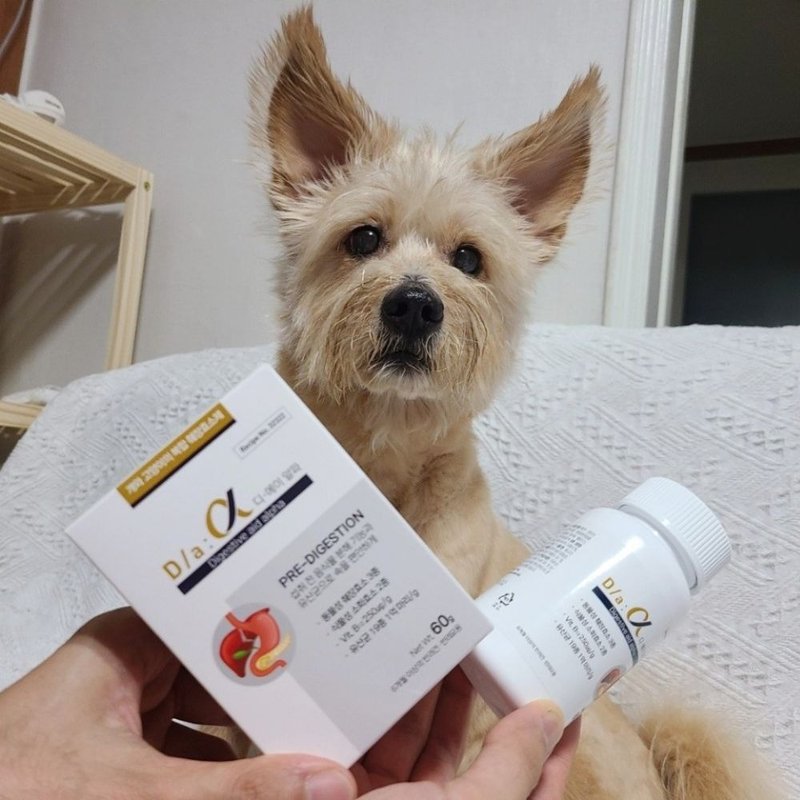 【韓國Signatureby】 D/a 酵酵君(寵物消化酵素) 60g/罐-犬貓適用 - 其他 - 其他材質 白色