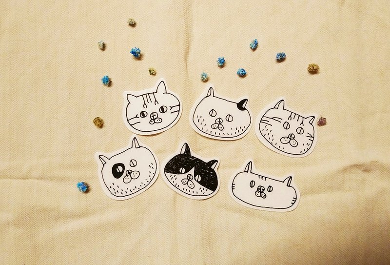 黑白 猫咪 透明贴纸