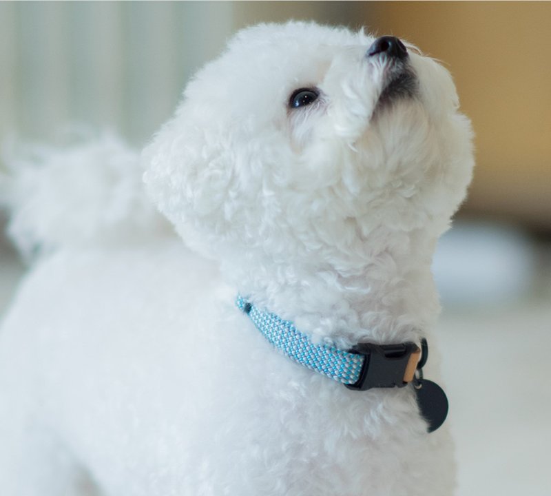 Wat. Hand-knitted collar - Yellow jacket