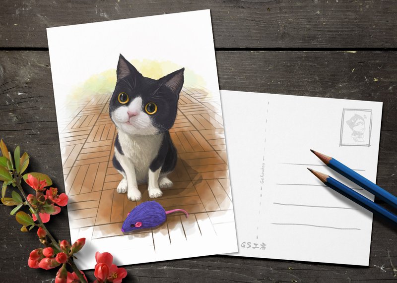 Postcard - Cat repays