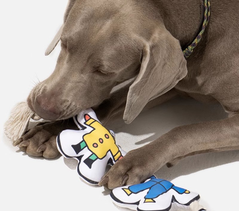 【手拉手】大中小型犬/拔河互動寵物玩具 - 貓/狗玩具 - 其他材質 多色