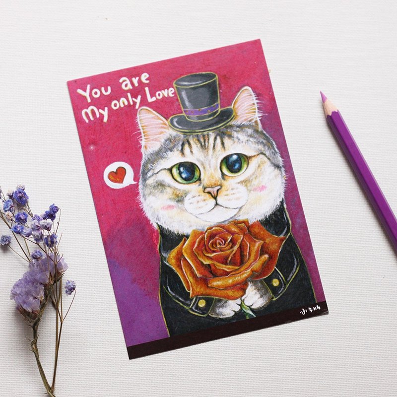 "Thirteen meow illustrator" only love ☉ cat ☉ illustration postcard