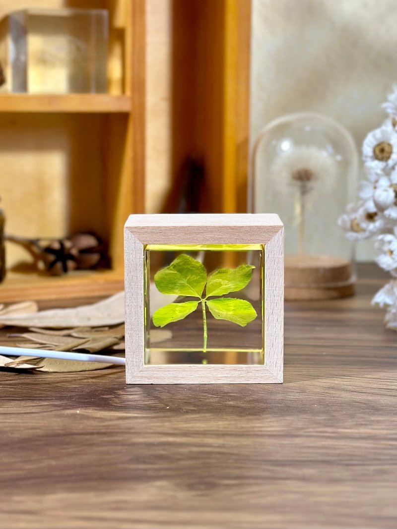 客製四葉草真植物手作夜燈幸運禮物 - 擺飾/家飾品 - 樹脂 綠色