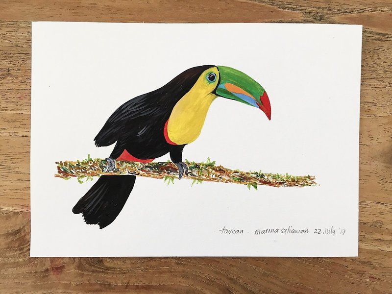 Toucan Art Print