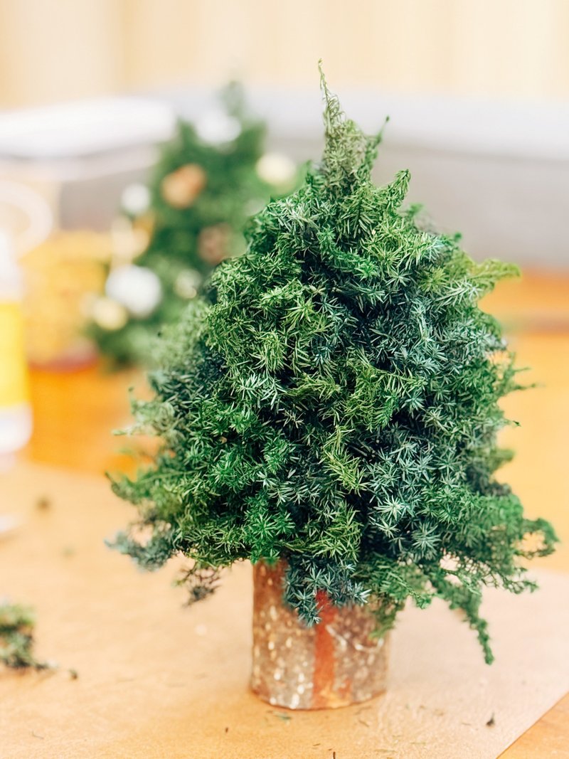 半成品聖誕小樹/材料包/聖誕禮物/手作/親子 - 花藝/盆栽/植栽 - 植物.花 綠色