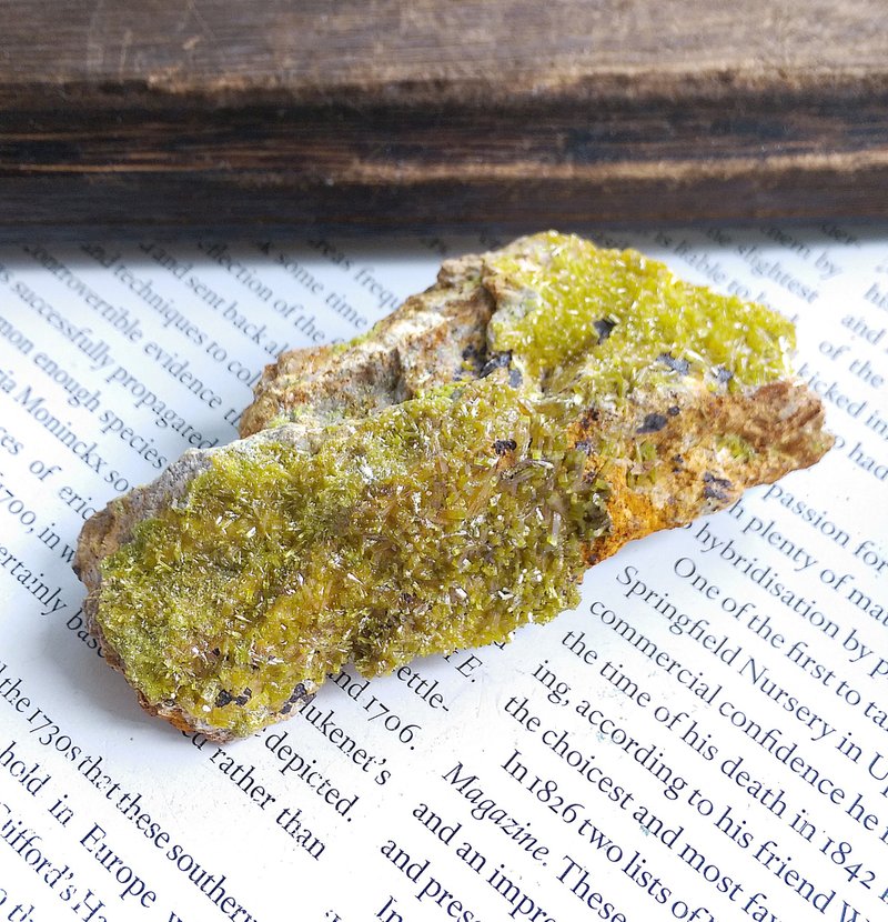 Pyromorphite 廣西產地 磷氯鉛礦 天然礦石 原礦 - 擺飾/家飾品 - 其他材質