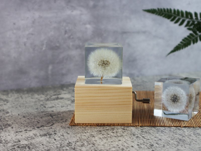 Dream Tianya Dandelion Ice Cube~Music Box (4 cm square) Hand crank