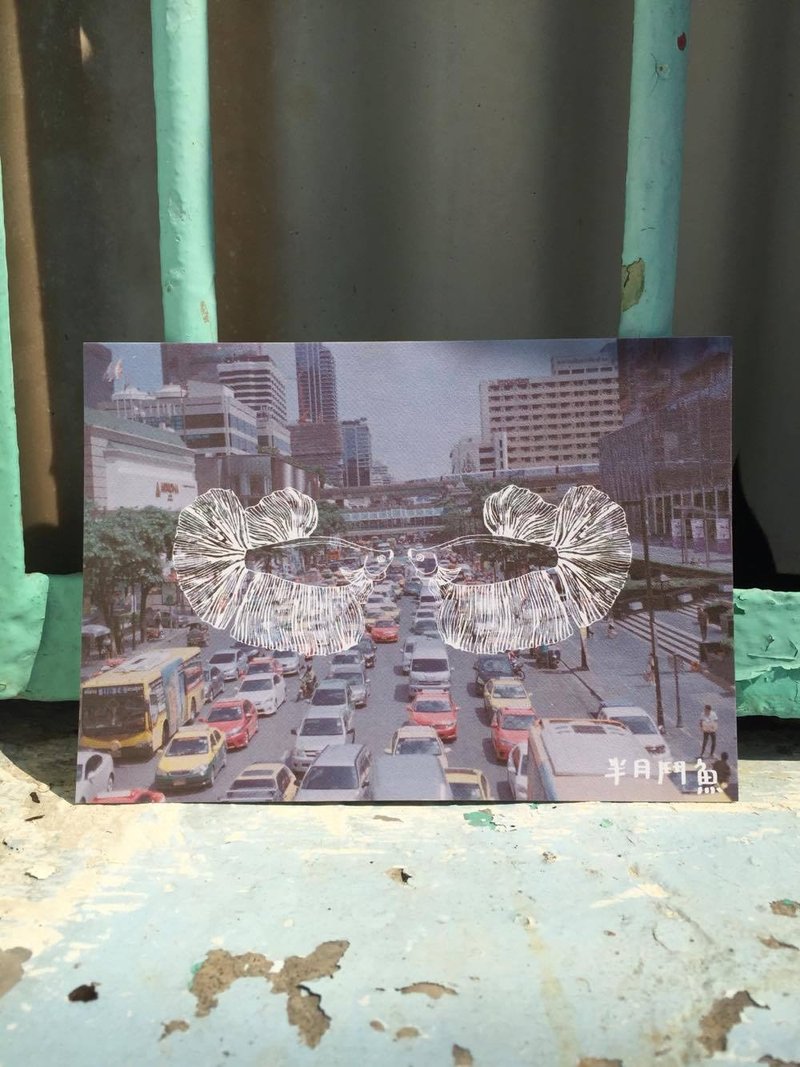 Siamese fighting fish // film camera photography postcard series