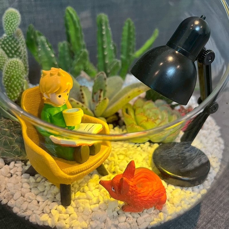 小王子 狐狸 閱讀玻璃球 燈具 多肉組盆仙人掌Le PetitPrince送禮 - 盆栽/植栽 - 植物.花 綠色