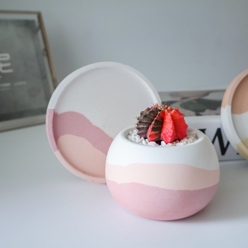 緋牡丹錦•日落時分水泥植栽 - 盆栽/植栽 - 水泥