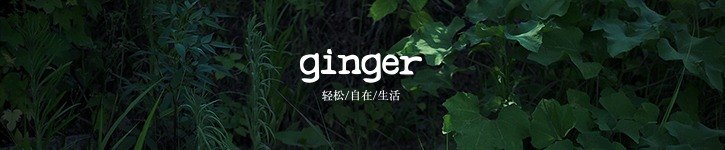 中国 デザイナー - ginger-tees