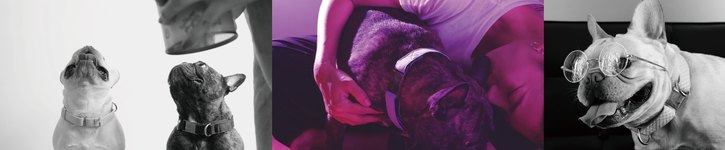 แบรนด์ดีไซเนอร์ไต้หวัน - Los Feliz Studio