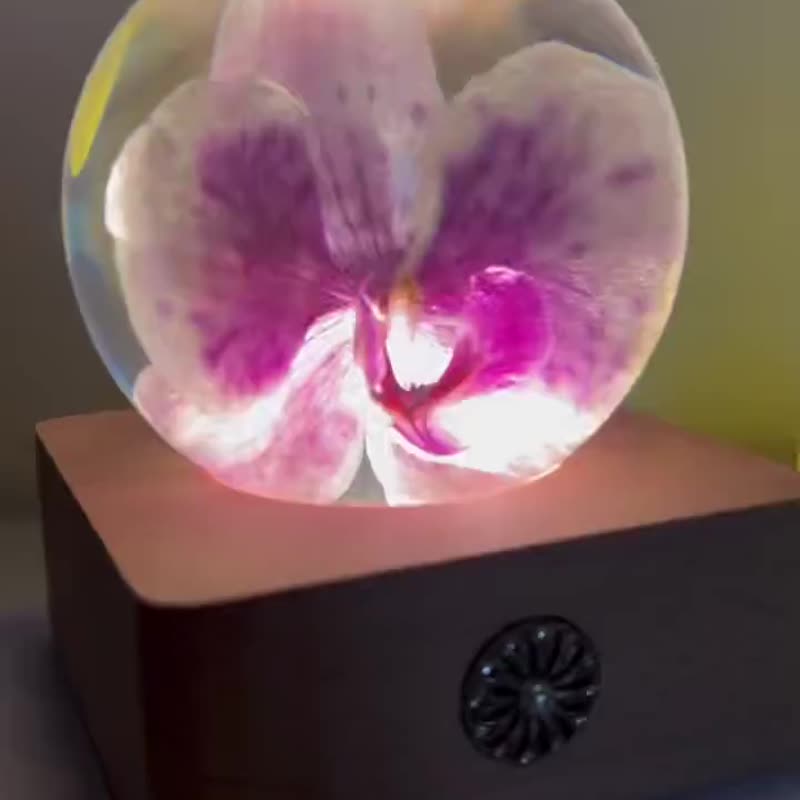 粉蝴蝶蘭|幸福向你飛來 - 擺飾/家飾品 - 樹脂 粉紅色