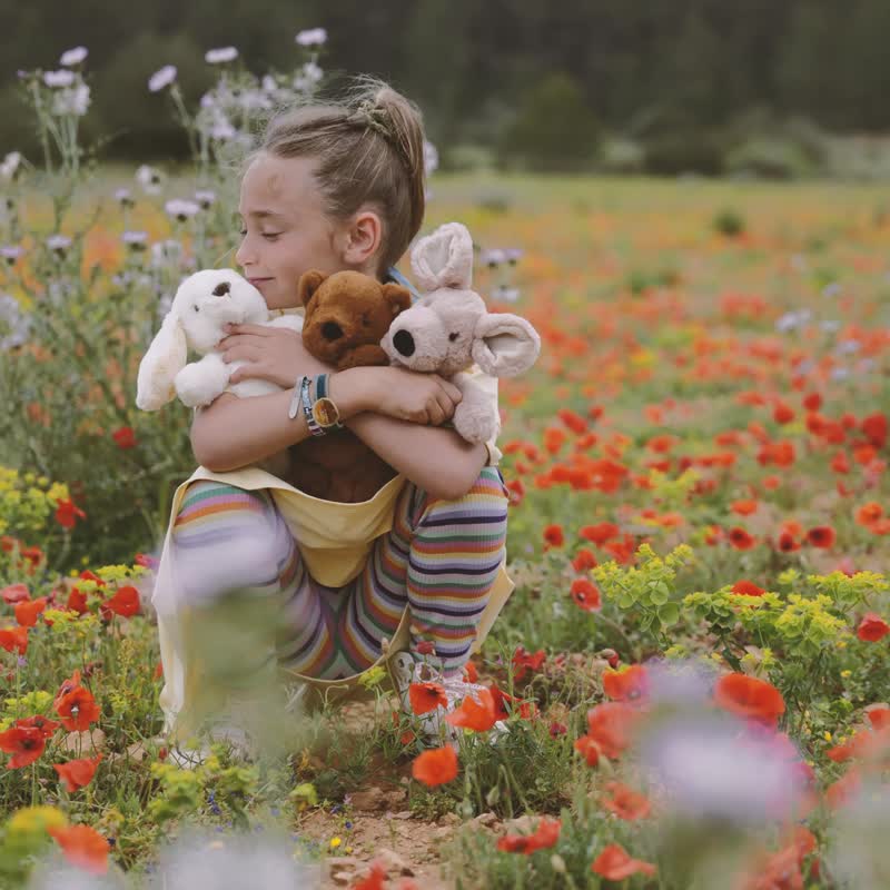 BON TON TOYS x WWF 老虎填充鑰匙圈-咖啡 10cm - 鑰匙圈/鑰匙包 - 環保材質 咖啡色