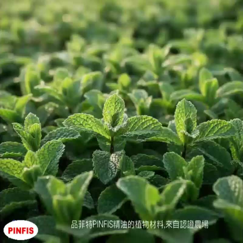 【品菲特PINFIS】有機精油 歐盟有機認證任選+攜帶式擴香器禮盒 - 香氛/精油/擴香 - 其他金屬