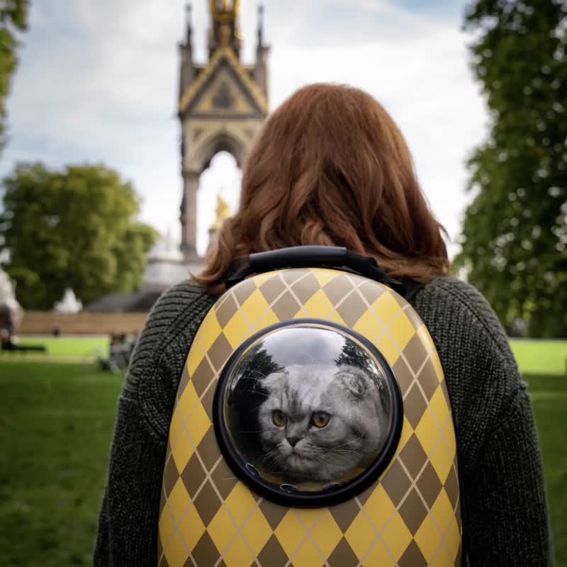 Movie Argylle x Travel Cat joint pet backpack USA TRAVELCAT - กระเป๋าสัตว์เลี้ยง - วัสดุอื่นๆ 