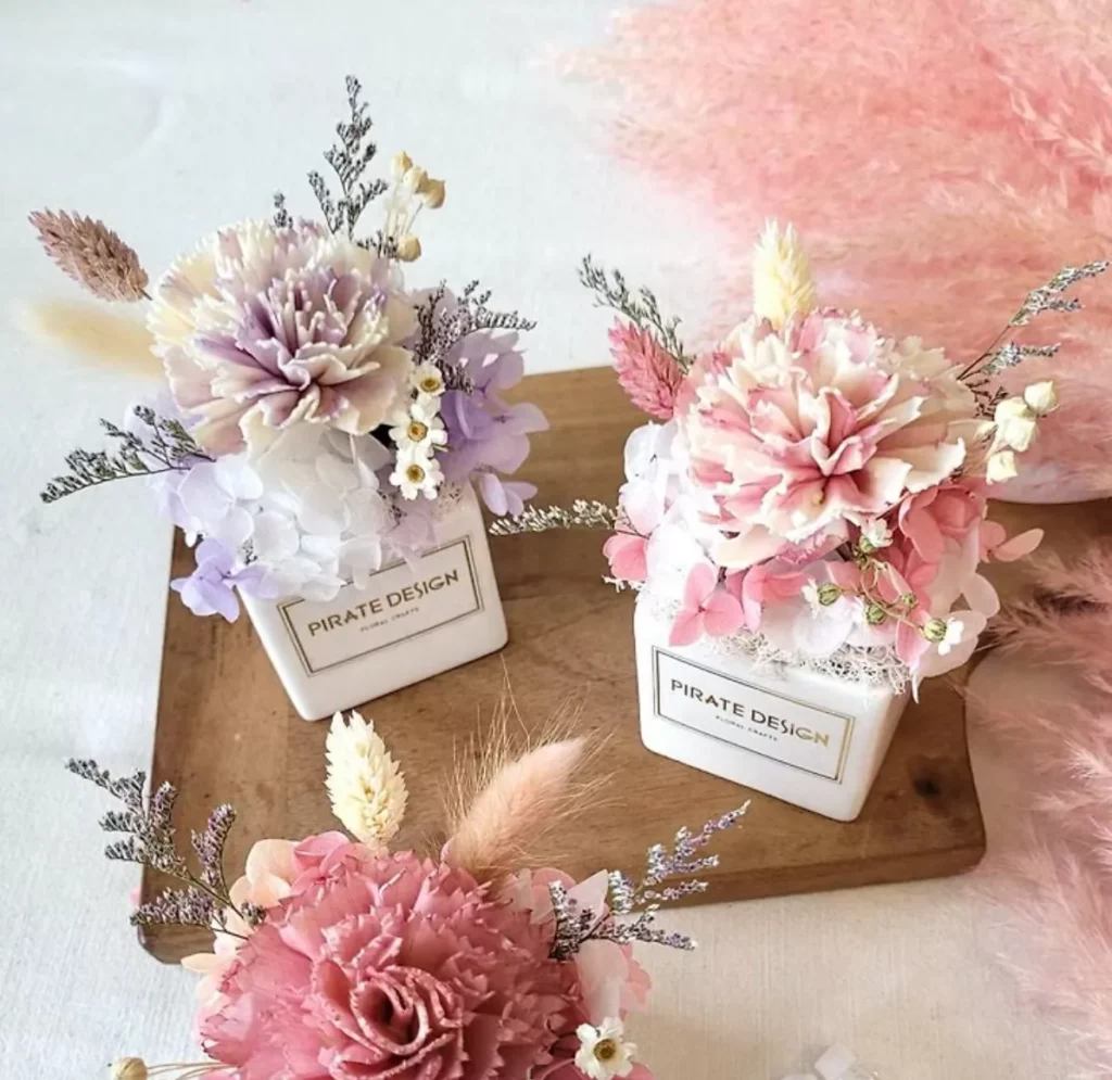 母親節花束：海藏設計 乾燥康乃馨盆花 +手作材料包