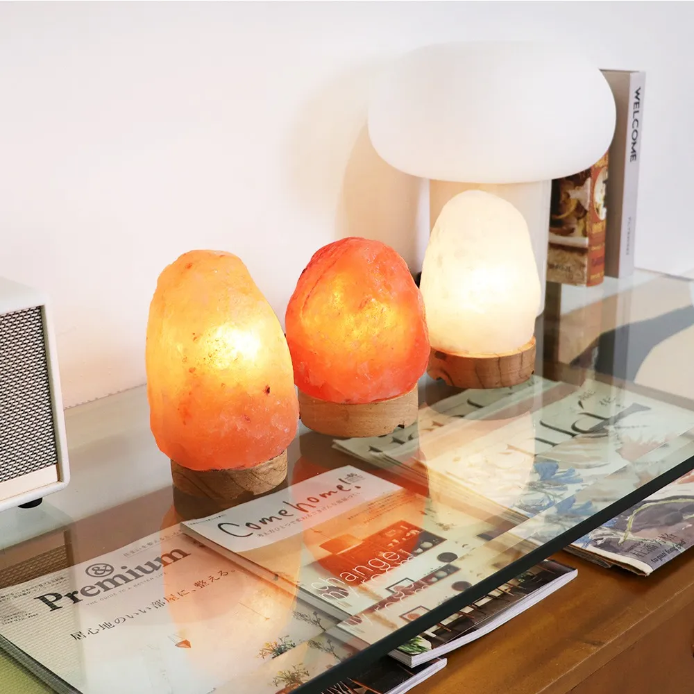 火象星座特質:SALTLIFE鹽夢工場 招財玫瑰鹽燈