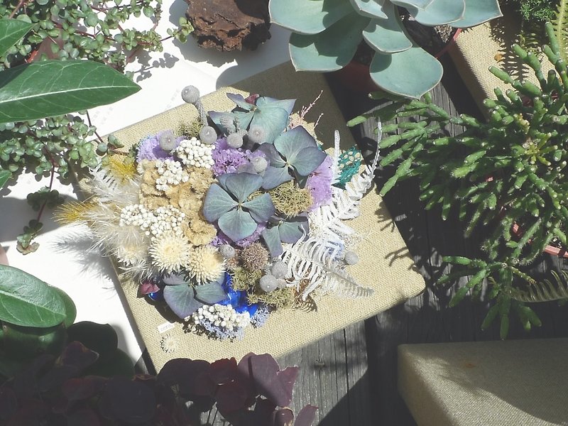乾燥した花の絵夢の実験_ _グレートオーシャン - 観葉植物 - 寄せ植え・花 ブルー