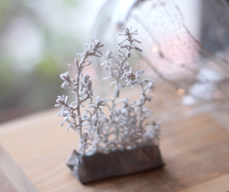 ¥乾燥花の雪のシーズン - 観葉植物 - 金属 ホワイト