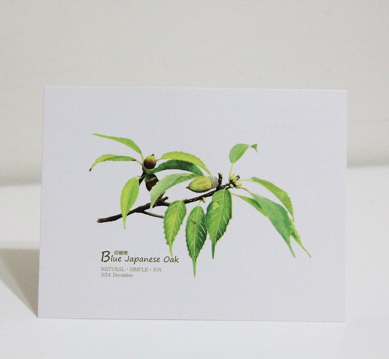 Hunan-NSJ Hand-painted Postcard Green Quercus - Cards & Postcards - Paper Multicolor