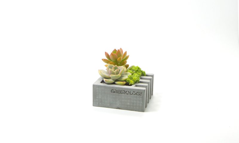 Greenology 水泥花器/煙灰缸 - 盆栽/植栽 - 水泥 灰色