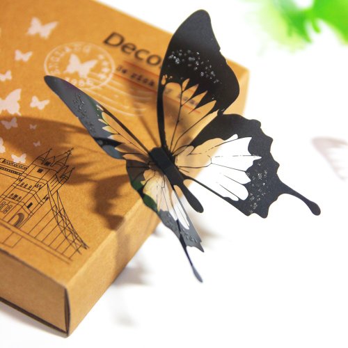 iINDOORS 3D  TRANSLUCENT STREAK BUTTERFLY