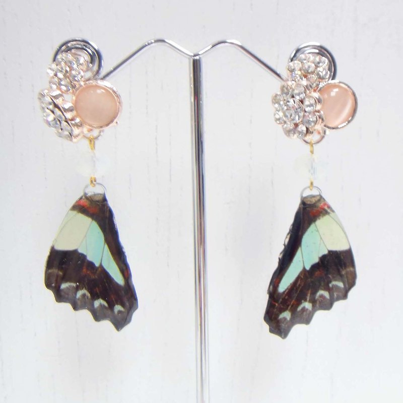 TIMBEE LO butterfly specimens Epoxy Earrings - ต่างหู - กระดาษ สีน้ำเงิน