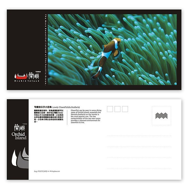 Orchid postcard - Ocean Series (horizontal) - adorable son clown fish - Cards & Postcards - Paper 