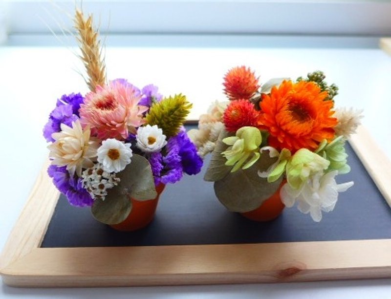 [Love flower decoration ] - ZAKKA乾燥花花迷你盆組合(數量:2) - 盆栽/植栽 - 植物．花 多色