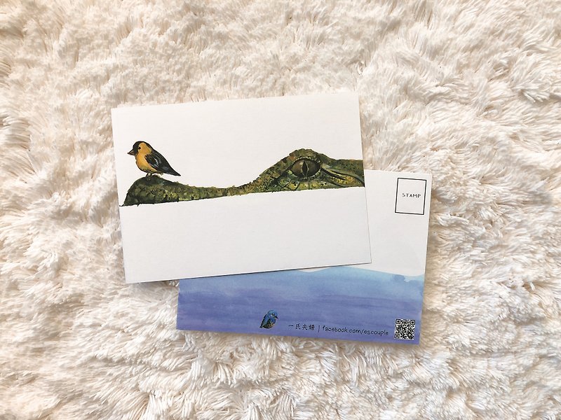 動物 明信片 鱷魚與鳥 - 卡片/明信片 - 紙 綠色