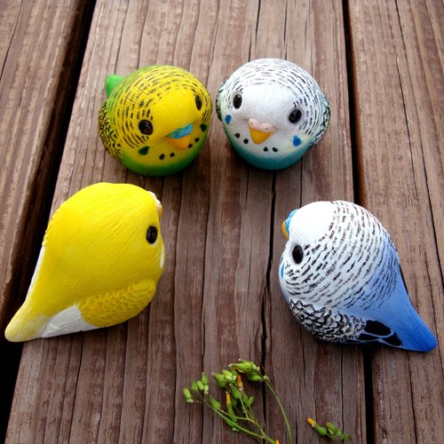 Healing Round Rolling Series - Budgerigar Budgies