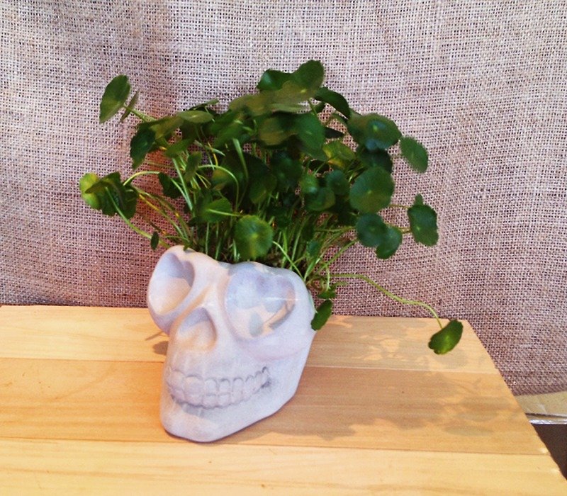 Died for love / Skull Pots - Plants - Cement Gray