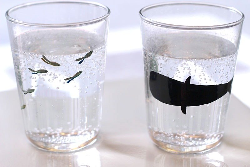 フラワーショーは、冷たい水のクジラの良いカップを§します - 急須・ティーカップ - ガラス ブラック