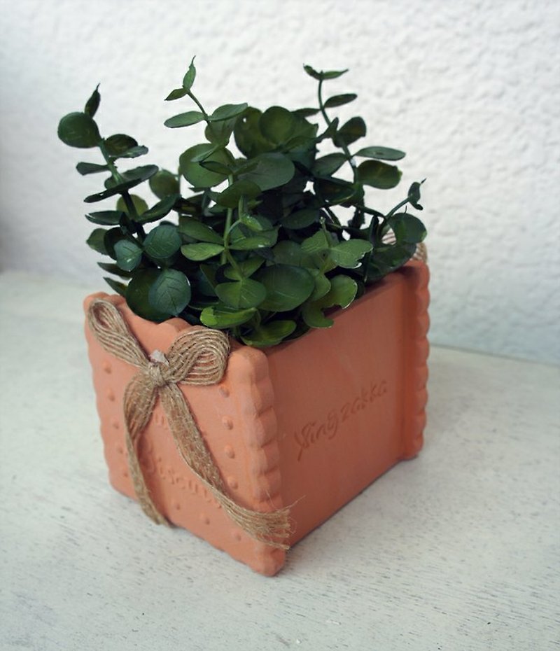 餅乾造型的植物盆栽 pot plant [am I cookie?] - 観葉植物 - その他の素材 ブラウン
