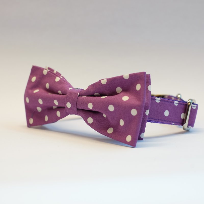 Violet White Polkadot Bowtie Collar - Collars & Leashes - Other Materials Purple
