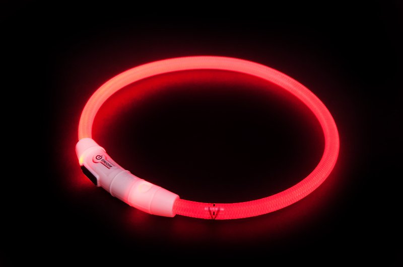 [MYZOO] Nightwalker LED pet collar / size S - ปลอกคอ - ซิลิคอน สีแดง