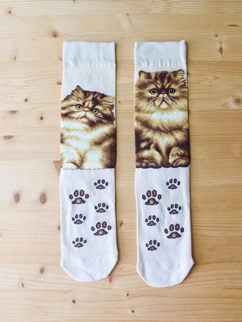 JHJ Design Canadian Brand High Color Knitted Cotton Socks Cat Series Jin Jira (Female) Cats Love Cats Cute - Socks - Other Materials White