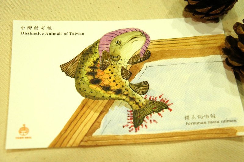 針線球 台灣特有種明信片-櫻花鉤吻鮭泡溫泉 - Cards & Postcards - Paper Green