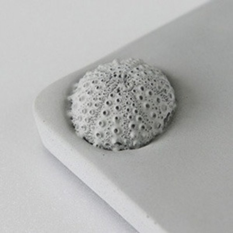 KALKI&#39;D Cement Pro-Magic Water Coaster-【Sea Urchin】