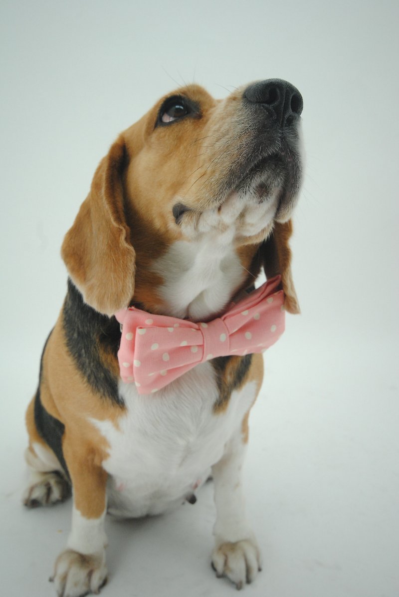 Polkadog Polkadot Collection By Human n'Hound - Collars & Leashes - Other Materials Pink