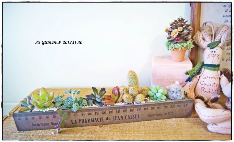 DIY wooden ruler succulents planted send (before the next one please designers associated oh) - Plants - Wood 